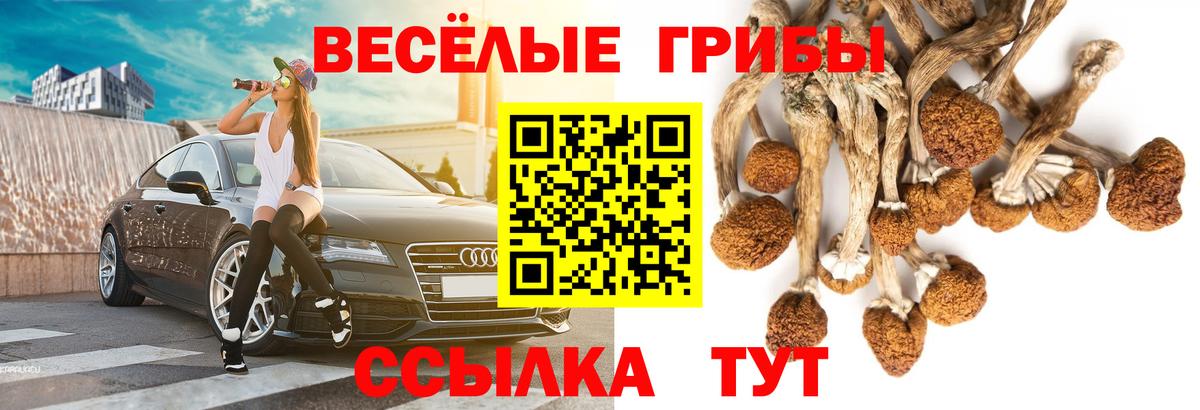 Псилоцибиновые грибы ЛСД  Вход с VPN  закладки  Саранск 